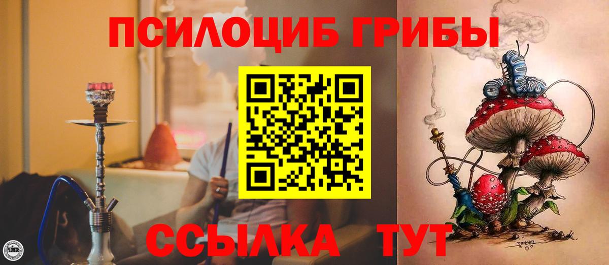 где купить   Псилоцибиновые грибы MAGIC MUSHROOMS  Вход с VPN  Ипатово 