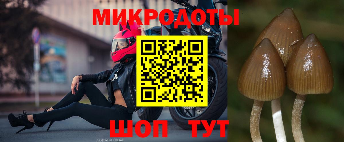 Псилоцибиновые грибы ЛСД Ипатово